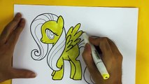 My little pony Equestria Girls friendship is magic MLP Fluttershy