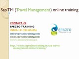 Sap TM(travel management) online training in usa,uk,australia,canada,southafrica,malaysia,dubai,india