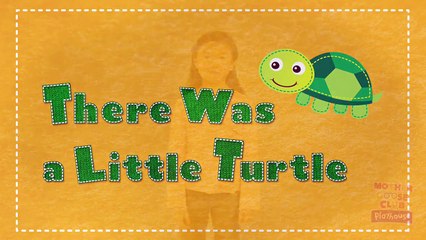 There Was a Little Turtle | Mother Goose Club Playhouse Kids Video