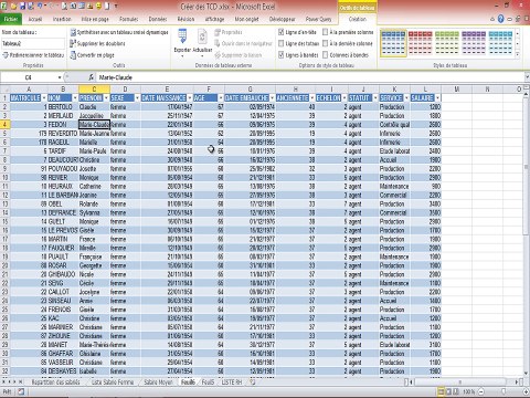 Excel - Les tableaux Croisés Dynamiques (Module 3)