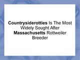 Countrysiderotties Is The Most Widely Sought After Massachusetts Rottweiler Breeder