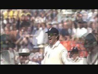 Ashes 2005 All 89 Australian Wickets