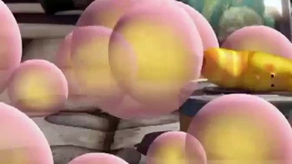 Larva Season 3 (2014 - 2015) Larva In New York Part 7