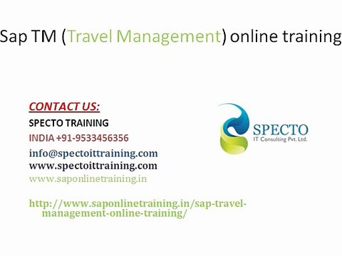 Sap TM(travel management) online training in malaysia