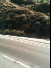 Corvette Showoff Fail -Amazing Videos-Funny Videos Collection