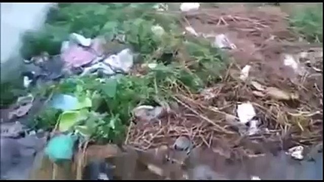 Earthquake LIVE Video in india today 26-10-2015 _ Earthquake of magnitude 7.5 hits North India