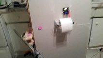 Useless toilet paper machine