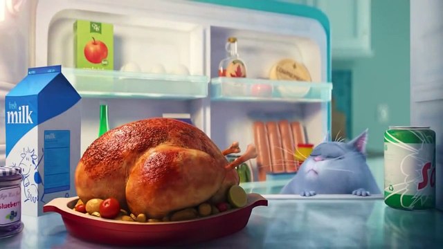 Мультики для детей - Жизнь домашних животных - Раз