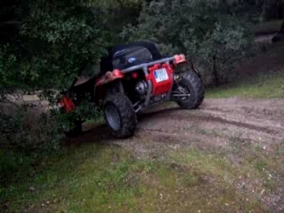 Buggy 005