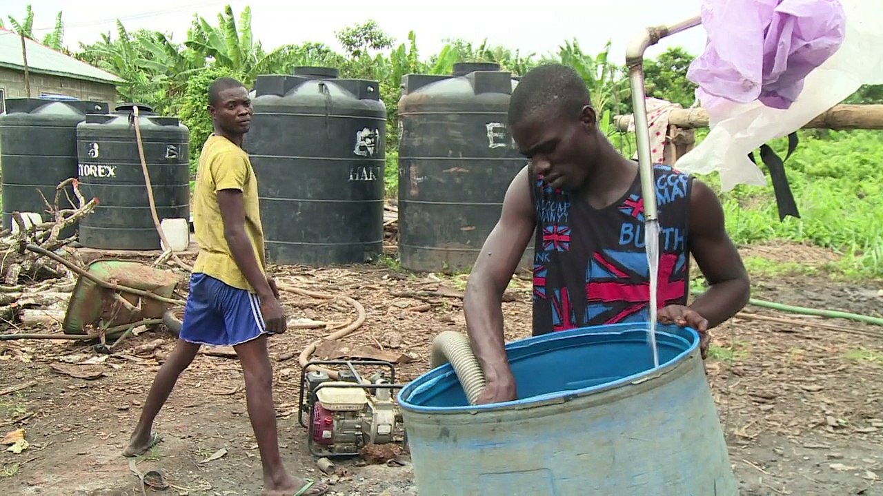 Au Nigeria, le "tord-boyaux qui tue" fait des ravages