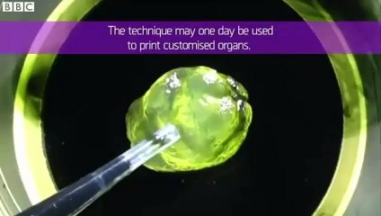 Consumer 3D printer used to create human tissue