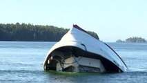 Canada whale-watching boat 'hit by wave'