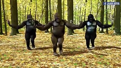 I Need to Learn These Gorilla Dance Moves