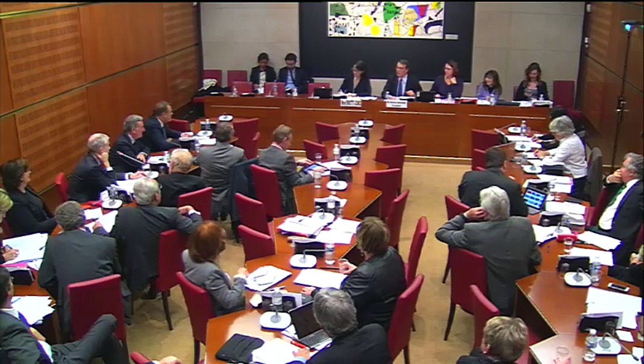 Mon intervention lors de l'audition de Delphine Ernotte, Présidente de France Télévisions,  à l'Assemblée