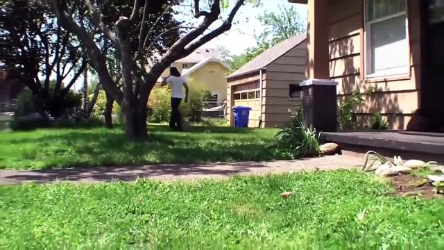 Человек и дикие животные необычная дружба видео