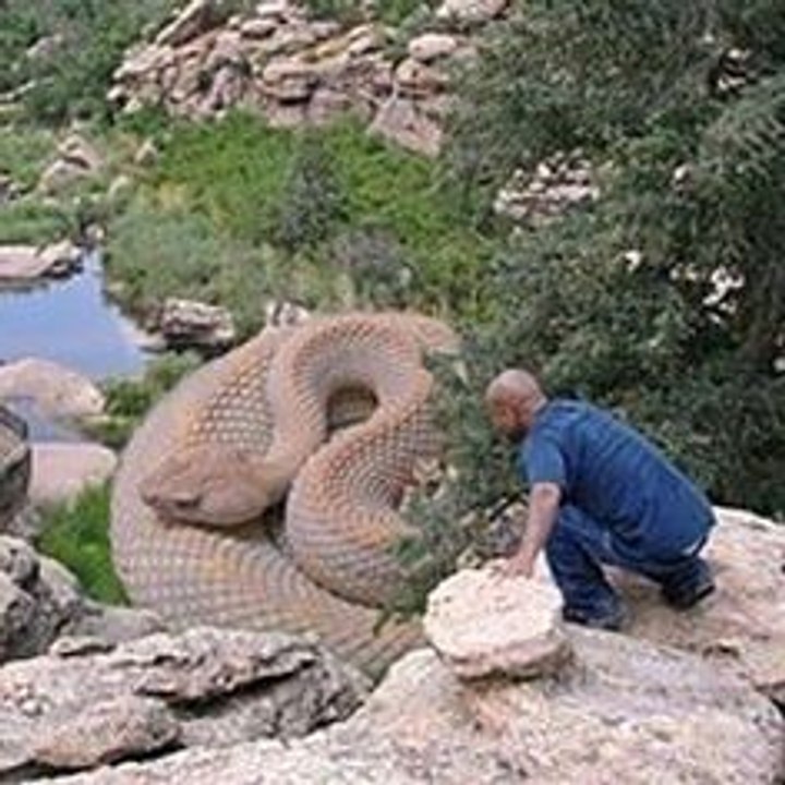 Deadly Anaconda Attack Humans And Dogs