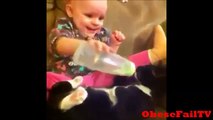 Funny Cats and Dogs Vines Compilation | Dogs VS Cats Vines Compilation (Dog Vines Start at