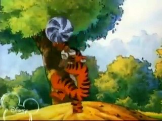 Winnie The Pooh Grown, But Not Forgotten