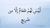 88-سُورة الْغَاشِيَة-Al-Ghaashiya-عبد الباسط عبد الصمد - Abdel Bassit Abdel Samad;