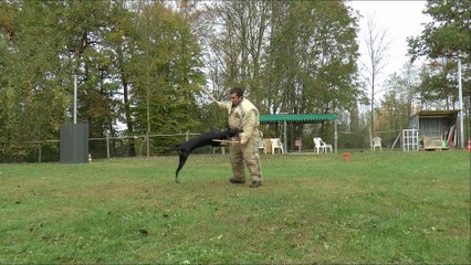 Magmar Von Der Burgstätte