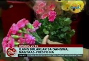 24 Oras October 28 2015 P2/5