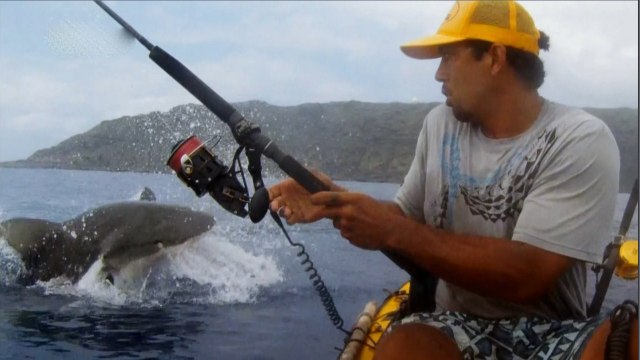 Акула чуть не съела опытного рыбака / Жесть