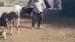 Amazing Funny Video Must Watch