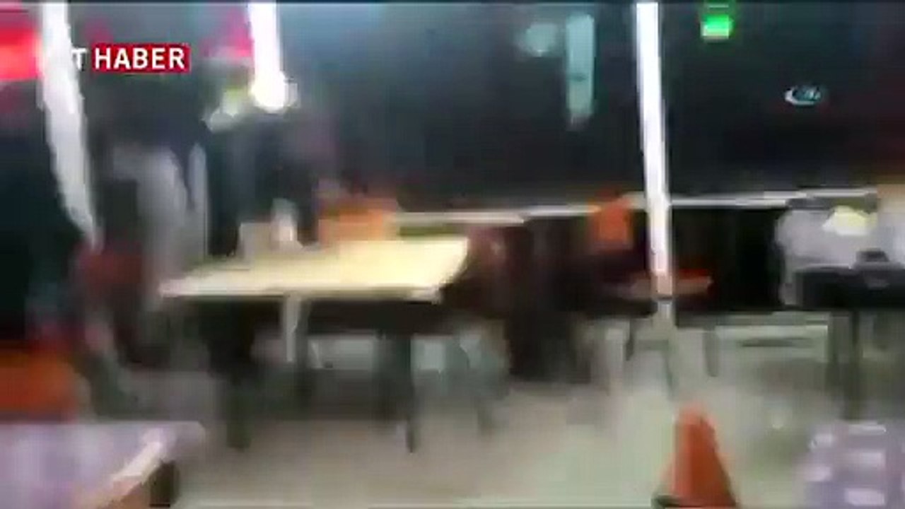 Pülümürde Kahve Basan Ayı