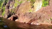 Alligator Jumps Onto Swimmer  Gator Attack