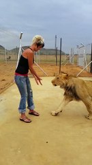 ARRÊT SUR IMAGE!  Regardez et retenez votre souffle!