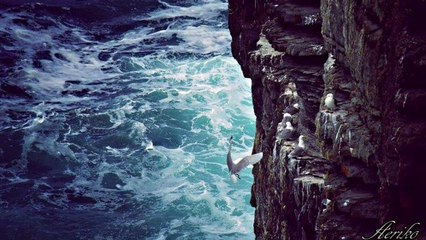 Κωστής Παλαμάς - Φοίβος Δεληβοριάς ~ Μια Πίκρα