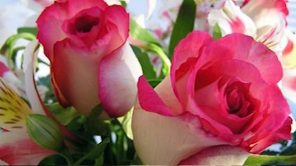 Torna Maggio   Eddy Napoli