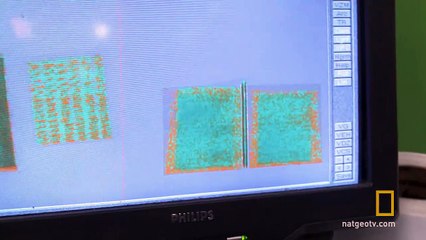 To Catch a Smuggler Videos Online - National Geographic Video