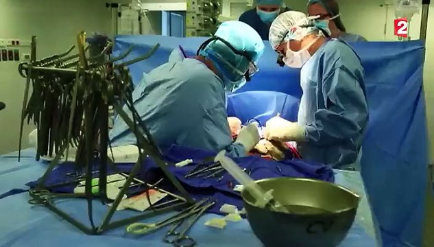 Les cellules souches, l'avenir de la médecine ?