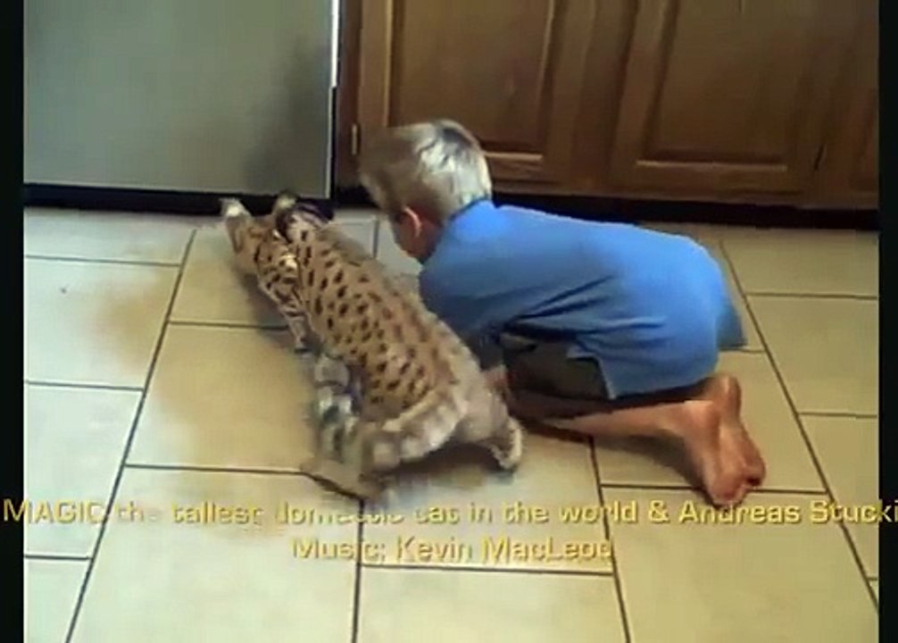 Ashera kedi bir çocuk oynuyor. Komik Usher ve çocuk