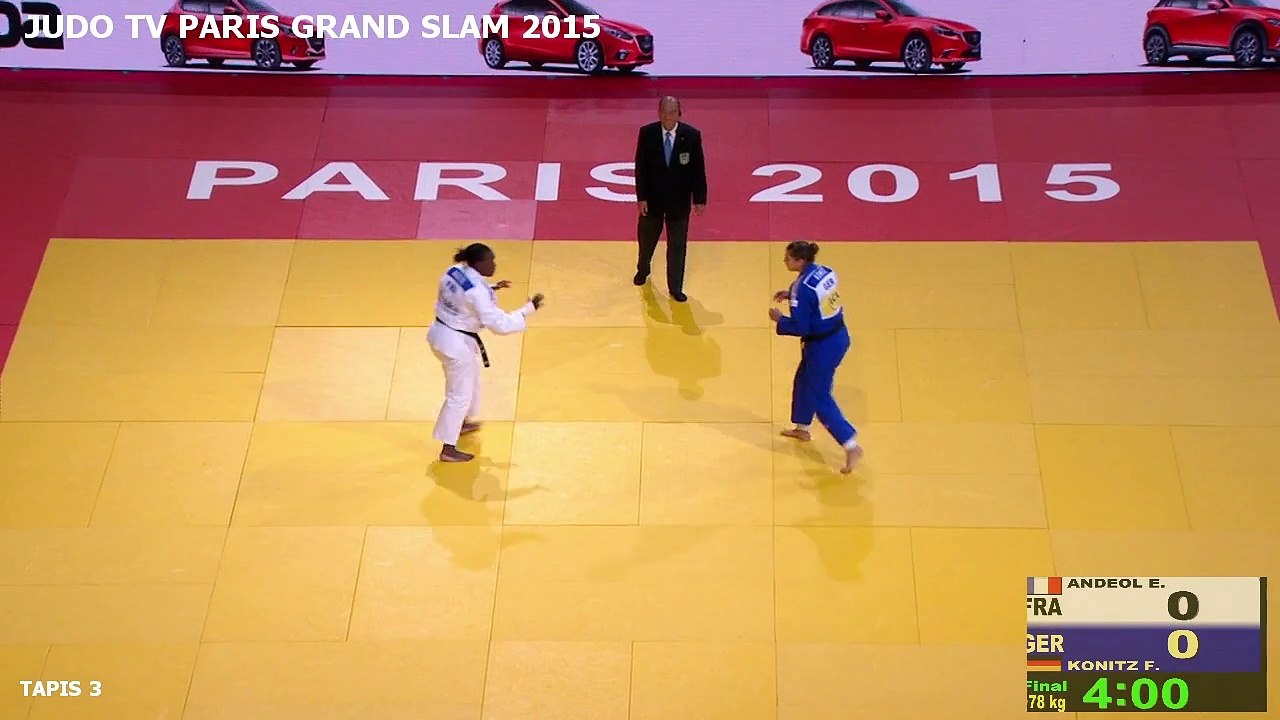 FINALE +78 KG - ANDEOL (FRA) VS. KONITZ (GER) - PARIS GRAND SLAM 2015
