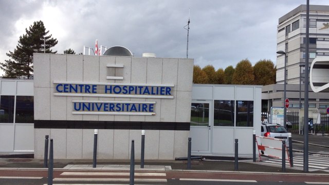 Des ovocytes détruits accidentellement