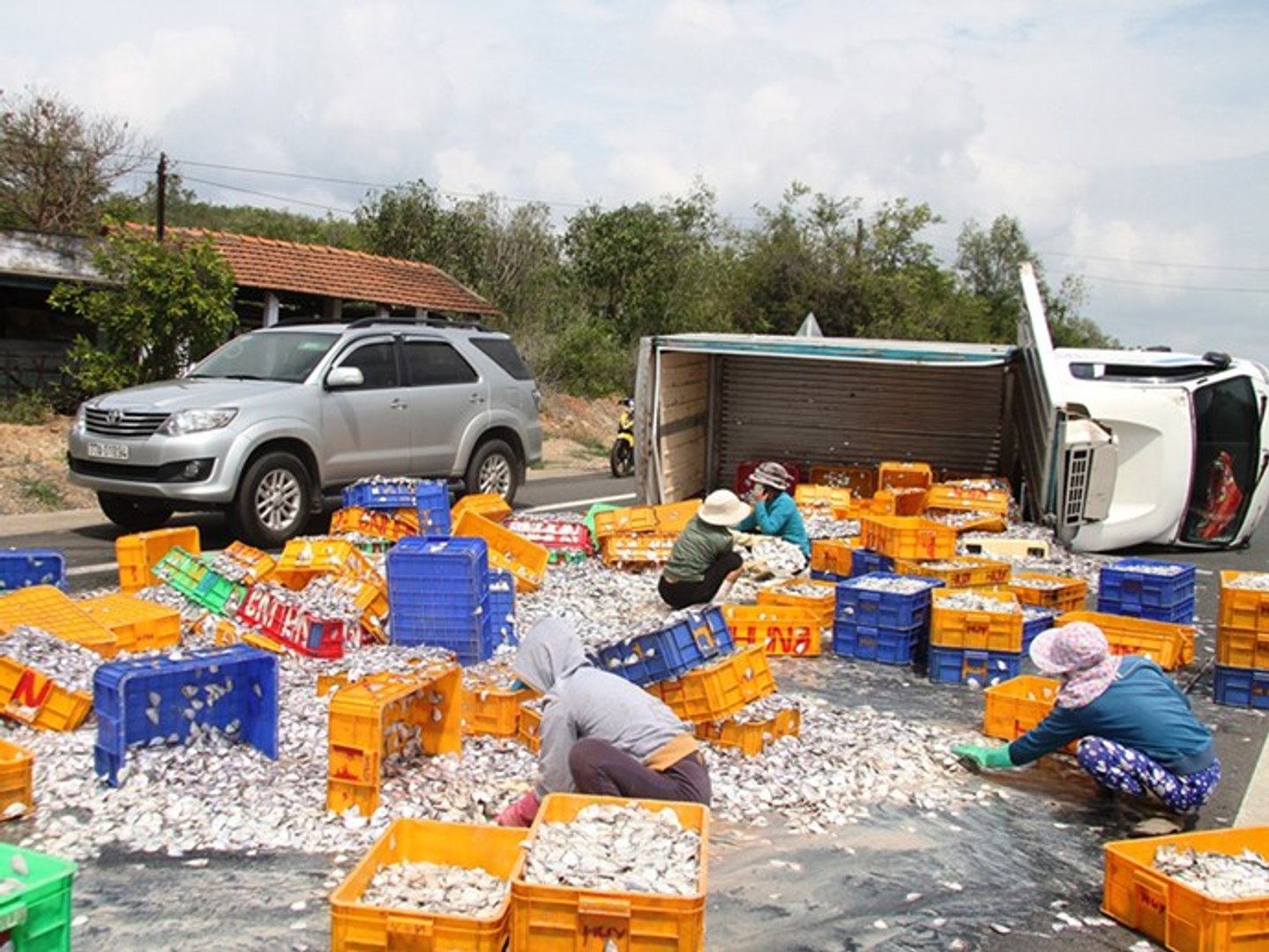 Khánh Hòa: Xe tải lật nhào, hàng tấn cá “phủ trắng” mặt đường QL 1A