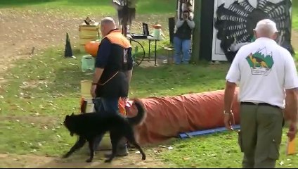 Starbuck, Premier concours de Mondioring, Juillan 2015