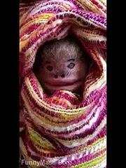 Dad Become A Alian For His Son Hilarious Video