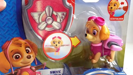 Download Video: 6 Paw Patrol Action Pack Pups and Badges Marshall Chase Rubble Rocky Zuma Skye Nickelodeon