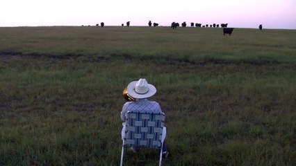 Serenading the cattle with my trombone (Lorde - Royals)