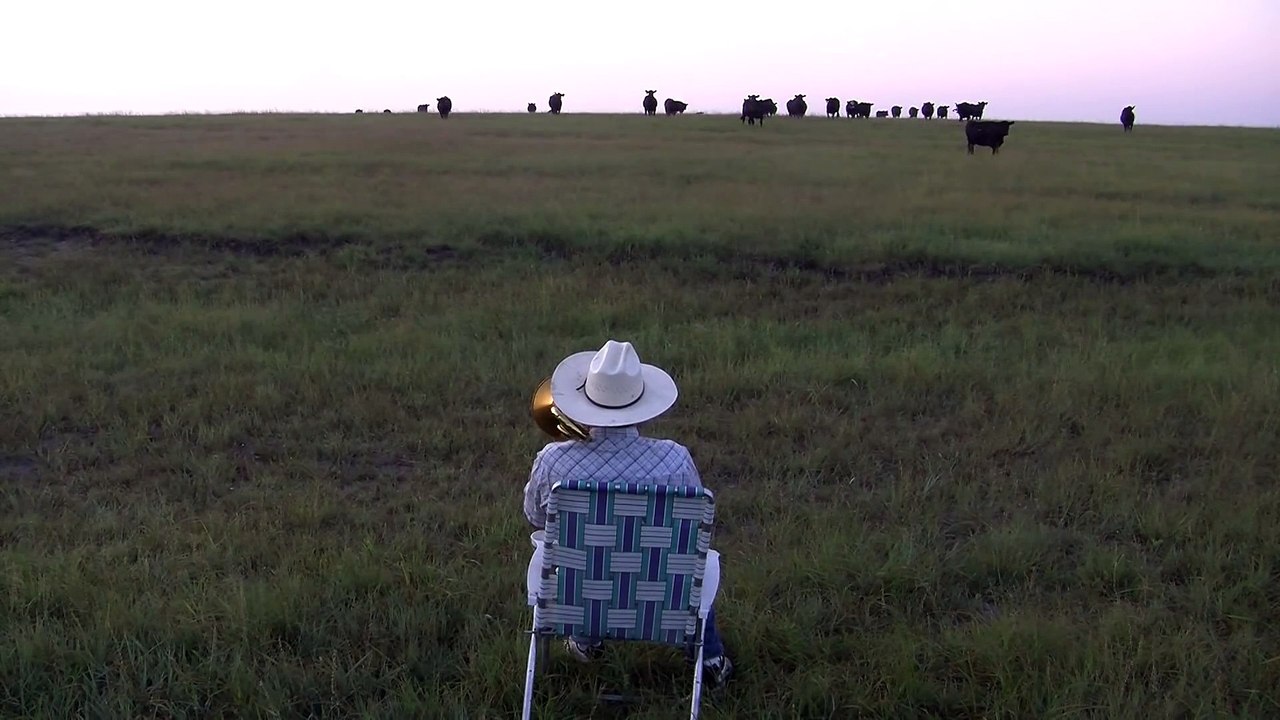 Serenading the cattle with my trombone (Lorde - Royals)