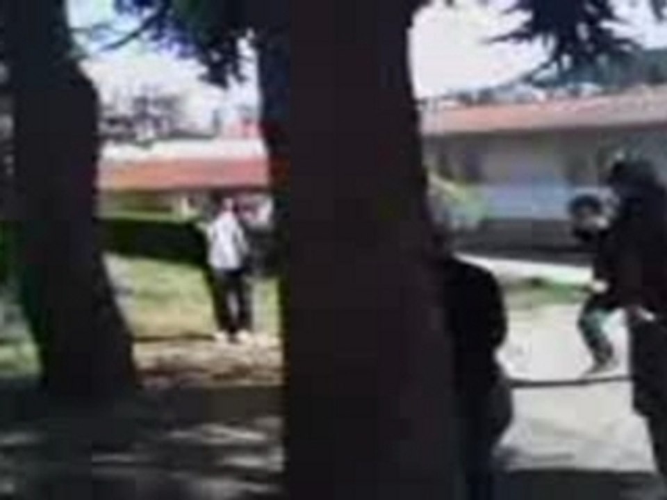 pot