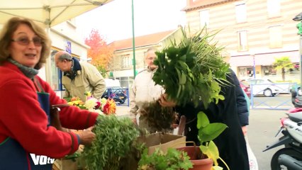 Troc de plantes à Cormeilles