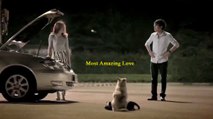 When you give love, it comes to you - Love Begets Love - Dogi Love - Motivational Video - www.funhifunentertainment.com