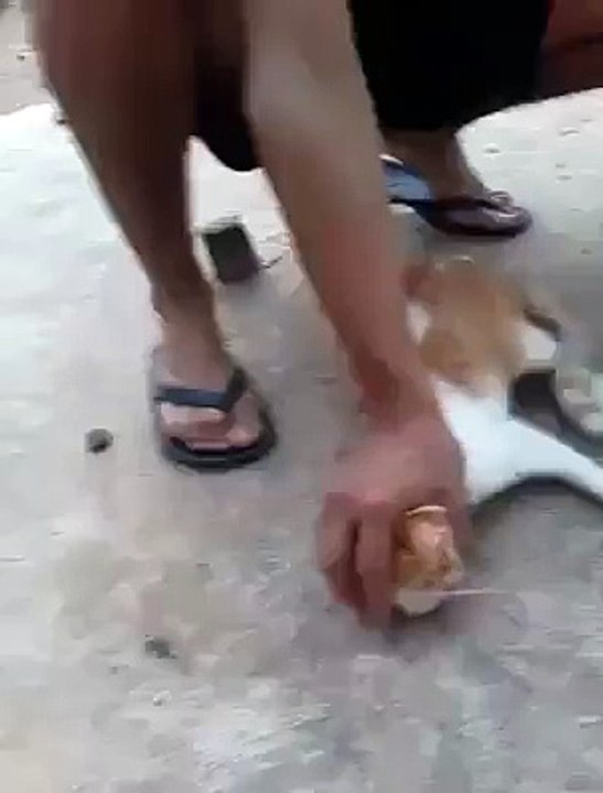 So cruel! Must watch.