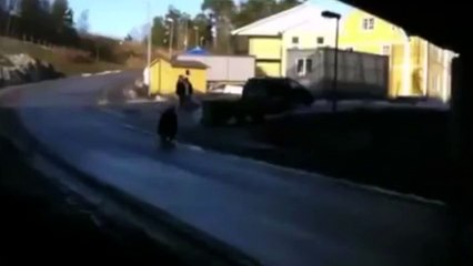 Antonio Velardo with Accidents in Italy