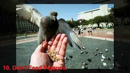 10 Weird Laws From Around The World