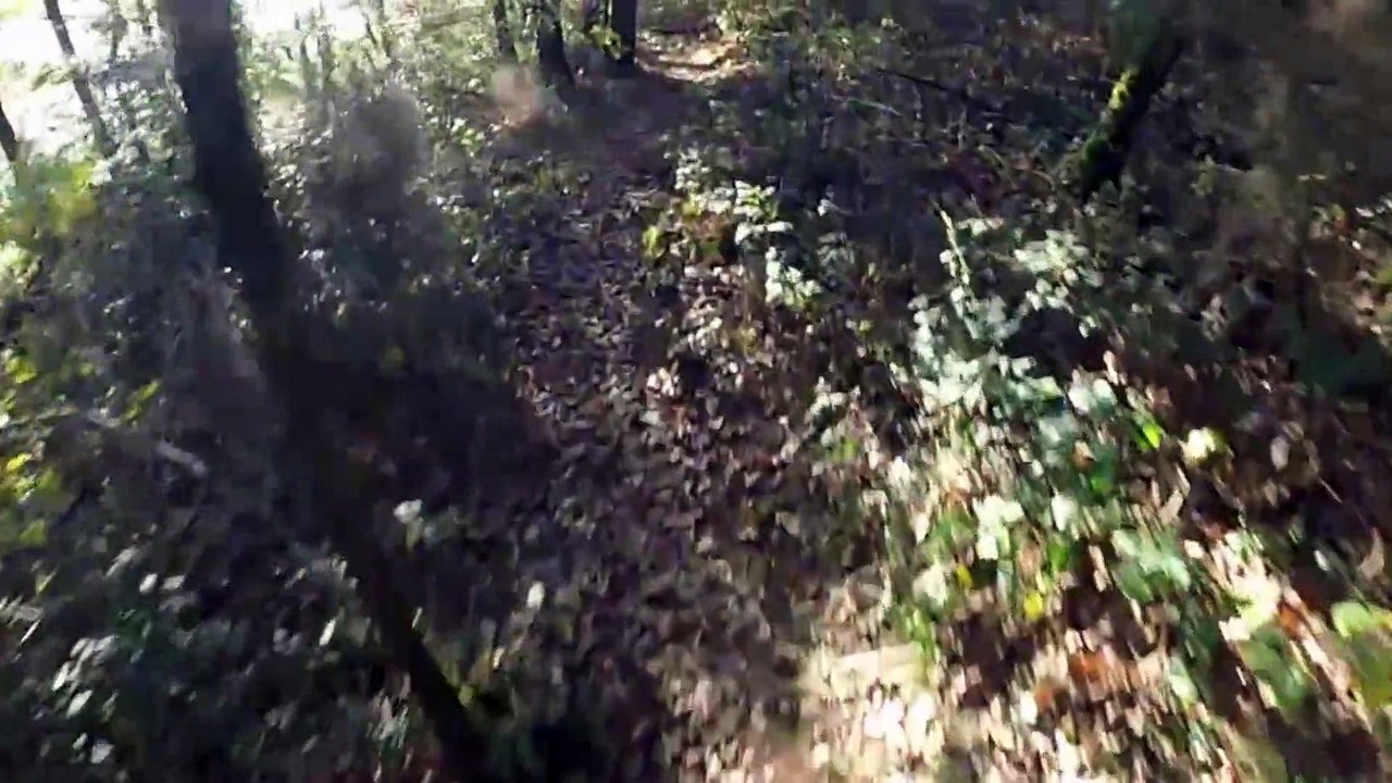 vtt chantonnay 2015 pouette pouette